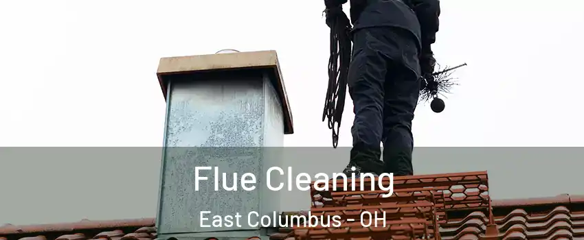 Flue Cleaning East Columbus - OH