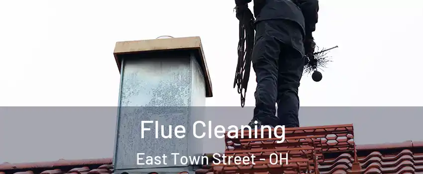 Flue Cleaning East Town Street - OH