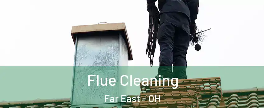 Flue Cleaning Far East - OH