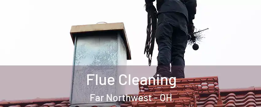Flue Cleaning Far Northwest - OH
