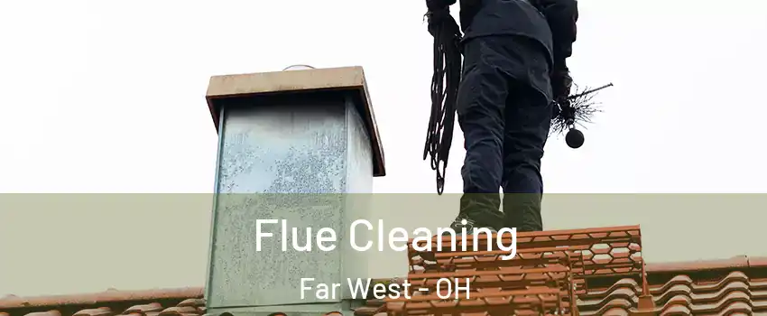 Flue Cleaning Far West - OH