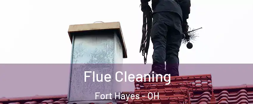 Flue Cleaning Fort Hayes - OH