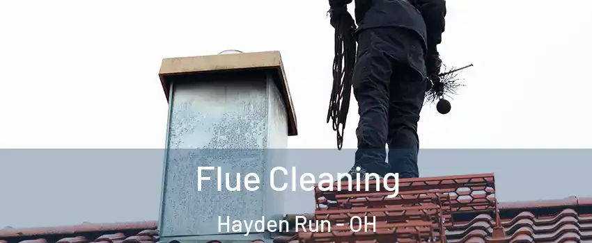 Flue Cleaning Hayden Run - OH