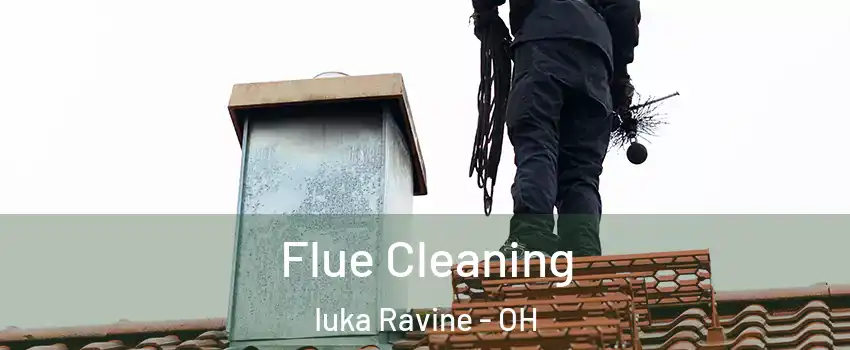 Flue Cleaning Iuka Ravine - OH