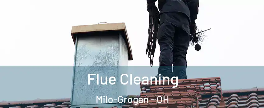 Flue Cleaning Milo-Grogan - OH