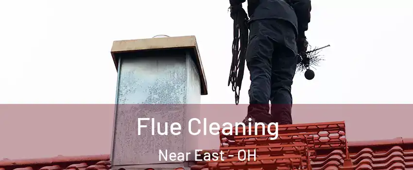 Flue Cleaning Near East - OH