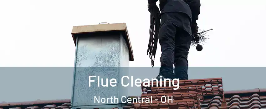 Flue Cleaning North Central - OH