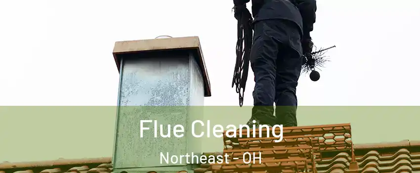 Flue Cleaning Northeast - OH