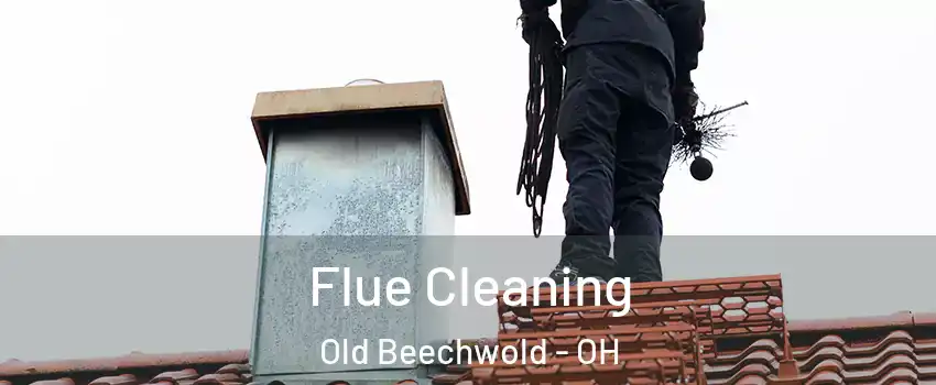 Flue Cleaning Old Beechwold - OH
