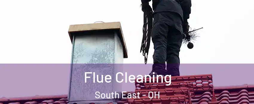 Flue Cleaning South East - OH