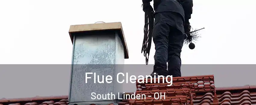 Flue Cleaning South Linden - OH
