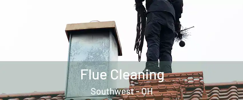 Flue Cleaning Southwest - OH