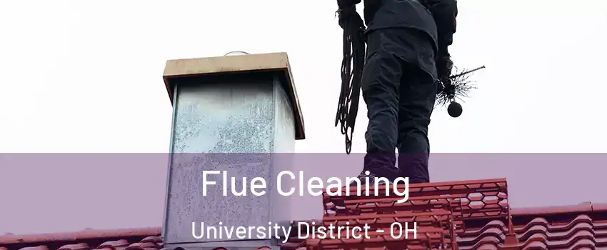 Flue Cleaning University District - OH