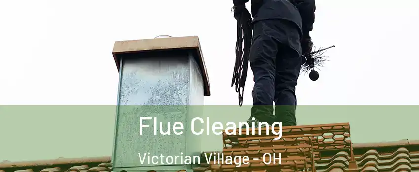 Flue Cleaning Victorian Village - OH