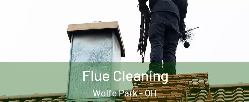 Flue Cleaning Wolfe Park - OH