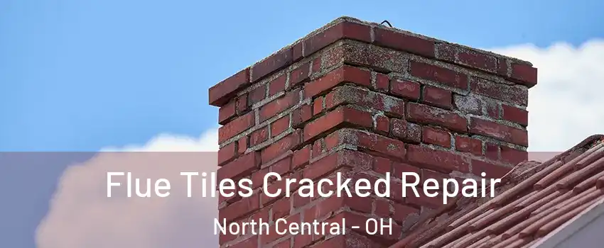 Flue Tiles Cracked Repair North Central - OH