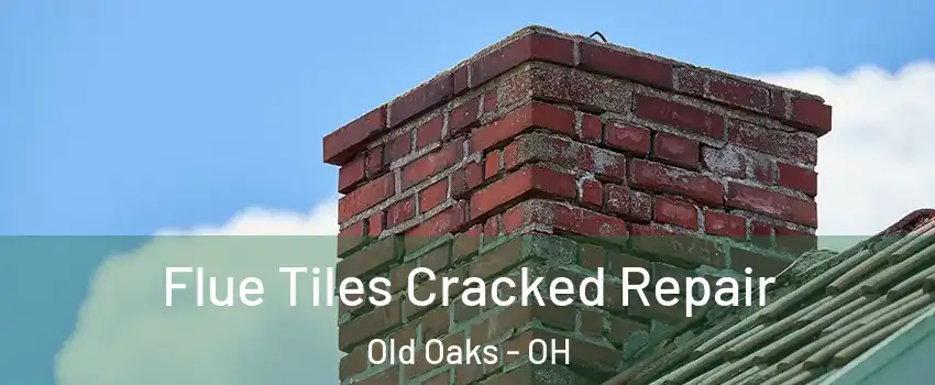 Flue Tiles Cracked Repair Old Oaks - OH
