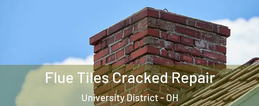 Flue Tiles Cracked Repair University District - OH