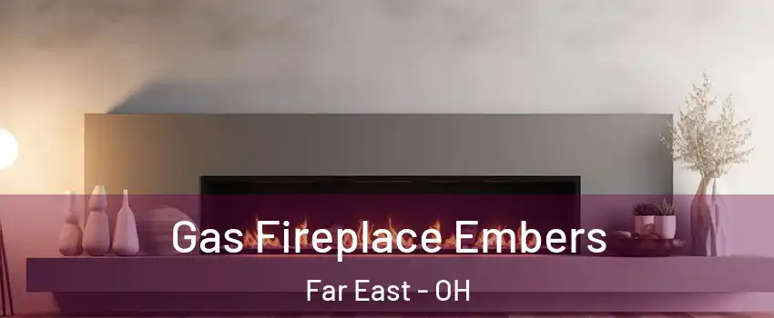 Gas Fireplace Embers Far East - OH