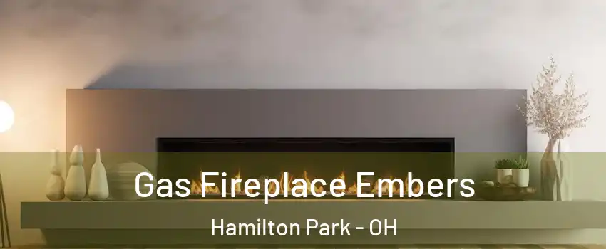 Gas Fireplace Embers Hamilton Park - OH
