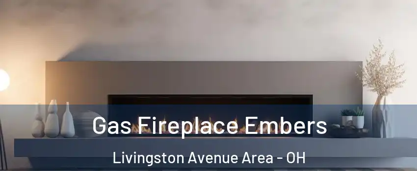 Gas Fireplace Embers Livingston Avenue Area - OH