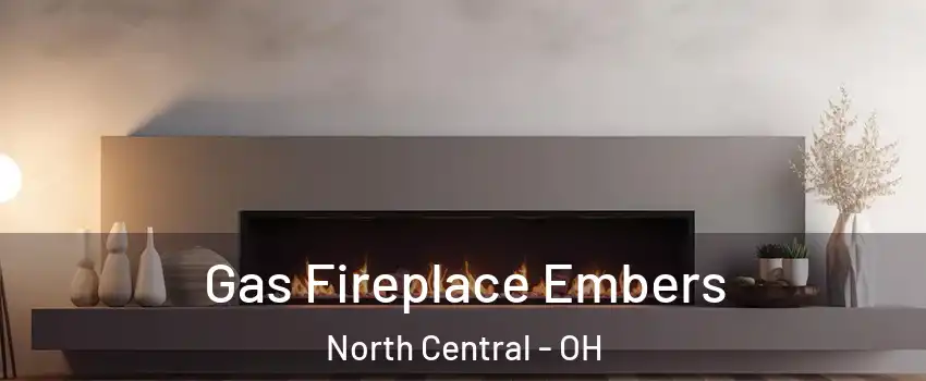 Gas Fireplace Embers North Central - OH