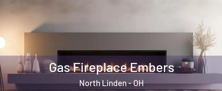 Gas Fireplace Embers North Linden - OH
