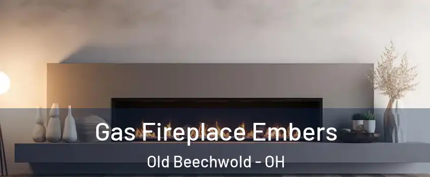 Gas Fireplace Embers Old Beechwold - OH