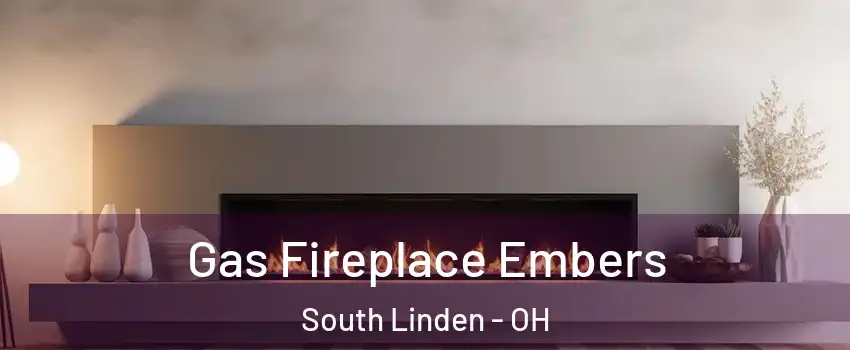 Gas Fireplace Embers South Linden - OH