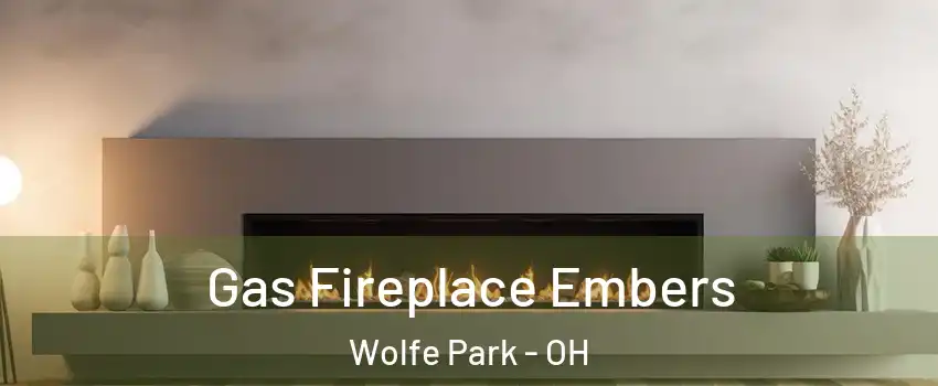 Gas Fireplace Embers Wolfe Park - OH