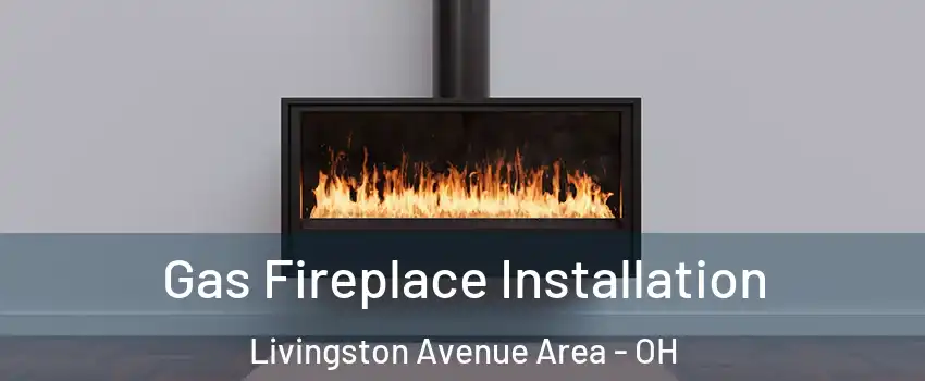 Gas Fireplace Installation Livingston Avenue Area - OH
