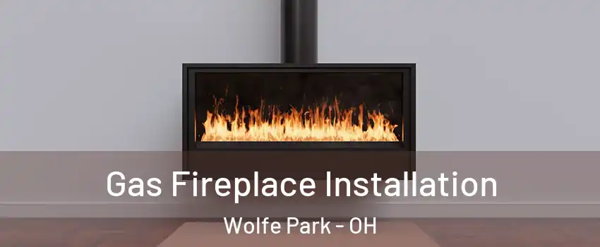 Gas Fireplace Installation Wolfe Park - OH