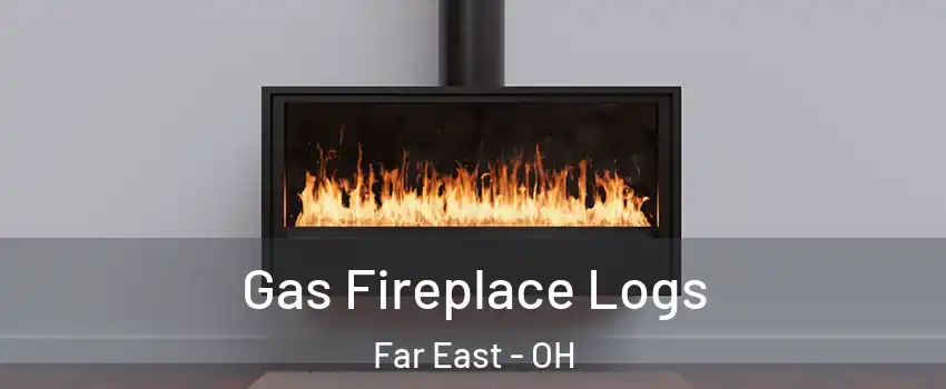 Gas Fireplace Logs Far East - OH