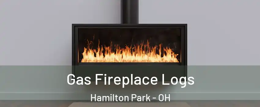 Gas Fireplace Logs Hamilton Park - OH