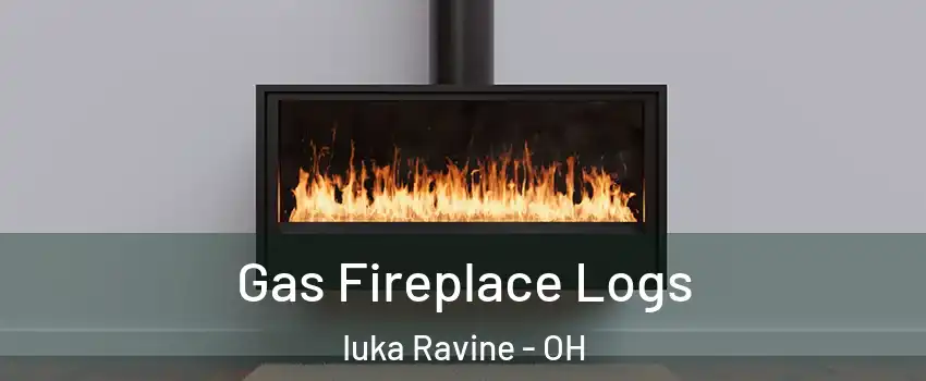 Gas Fireplace Logs Iuka Ravine - OH