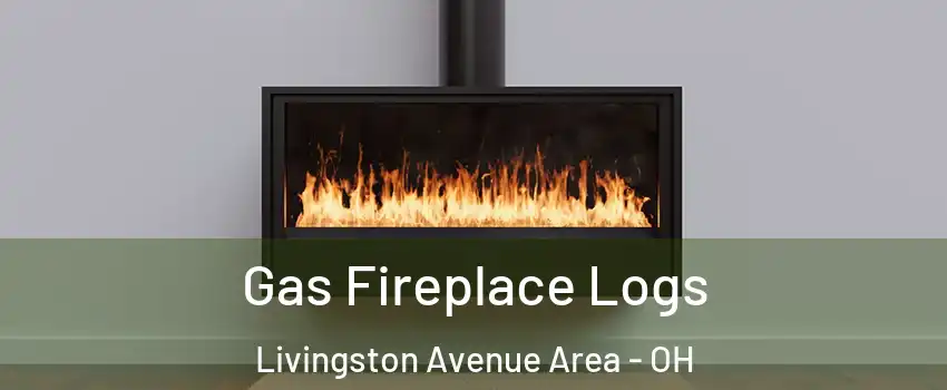 Gas Fireplace Logs Livingston Avenue Area - OH