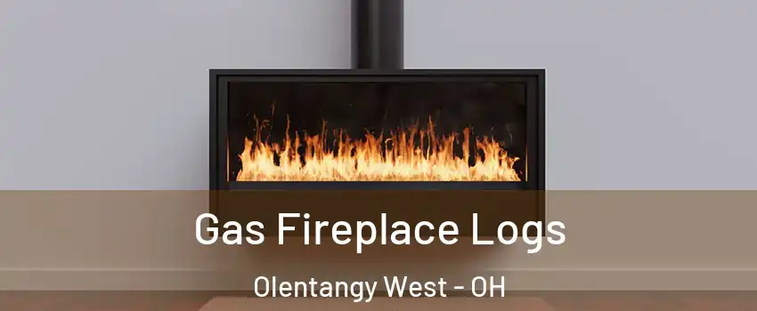 Gas Fireplace Logs Olentangy West - OH