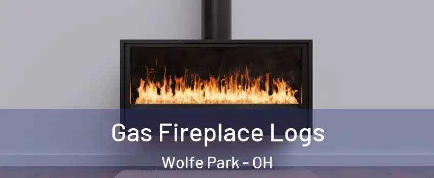 Gas Fireplace Logs Wolfe Park - OH