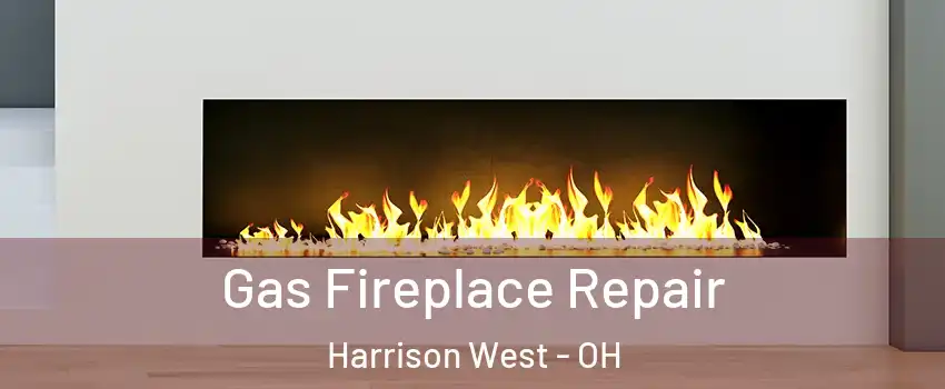 Gas Fireplace Repair Harrison West - OH