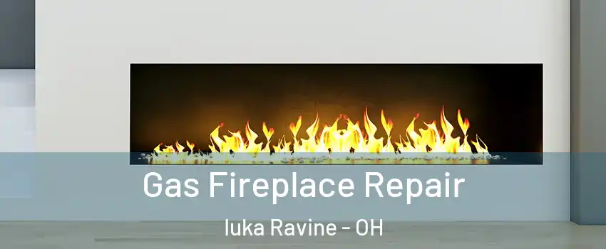 Gas Fireplace Repair Iuka Ravine - OH