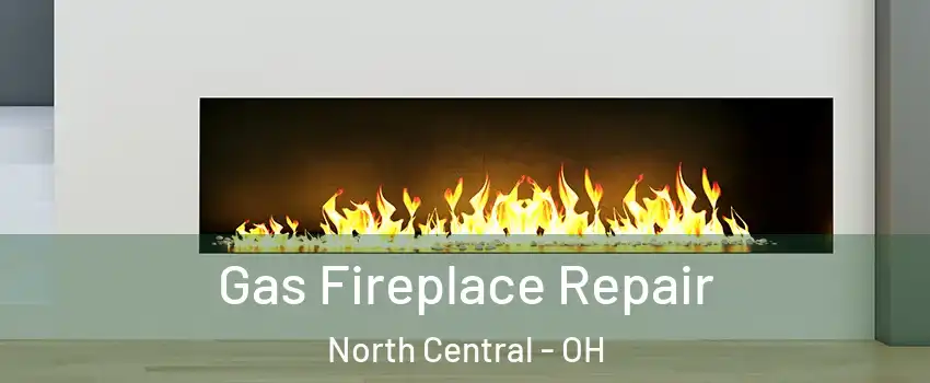 Gas Fireplace Repair North Central - OH