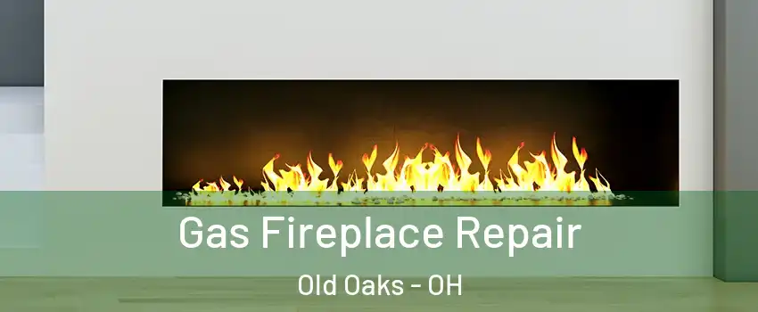 Gas Fireplace Repair Old Oaks - OH