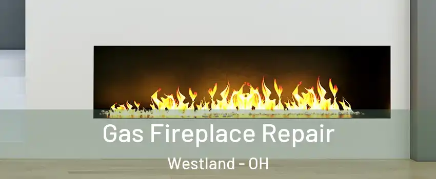 Gas Fireplace Repair Westland - OH