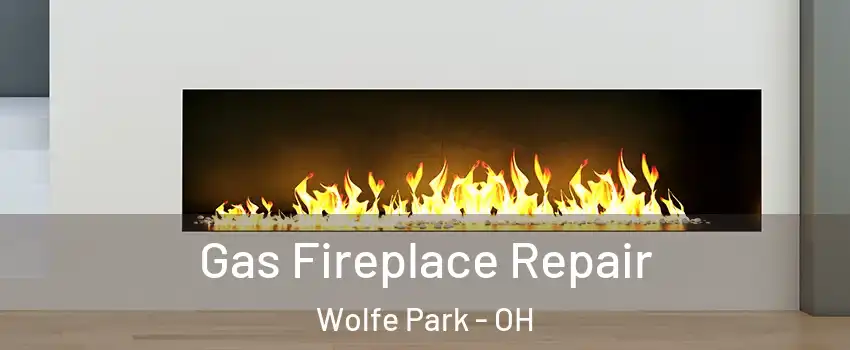 Gas Fireplace Repair Wolfe Park - OH
