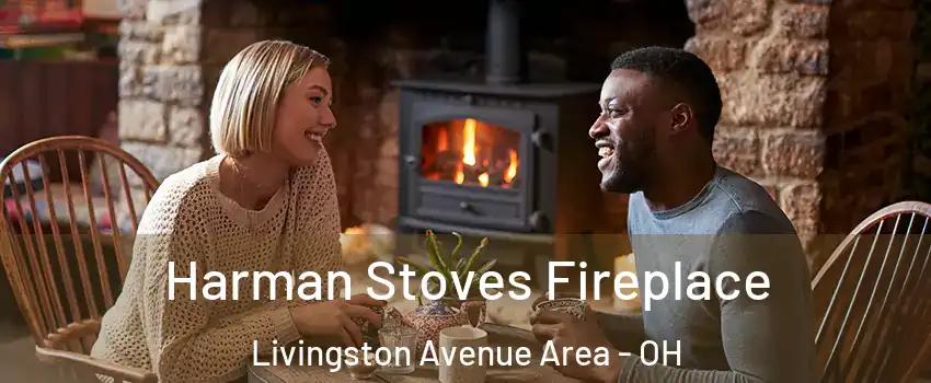 Harman Stoves Fireplace Livingston Avenue Area - OH
