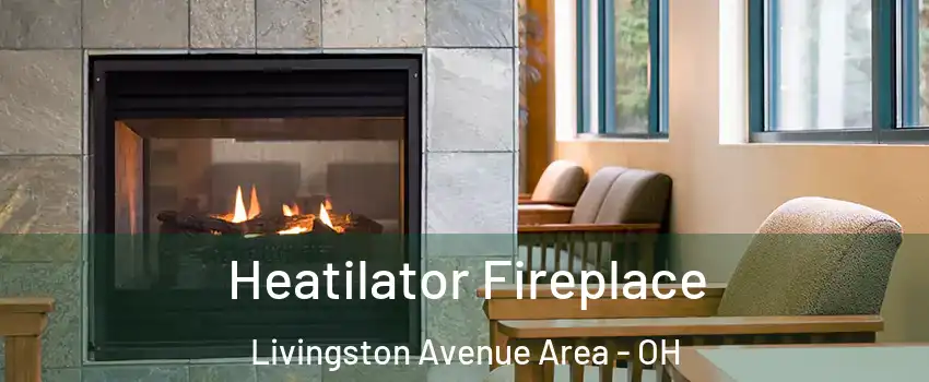Heatilator Fireplace Livingston Avenue Area - OH