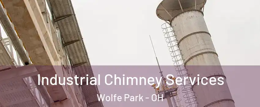 Industrial Chimney Services Wolfe Park - OH