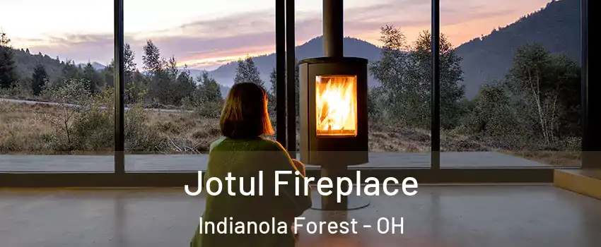 Jotul Fireplace Indianola Forest - OH