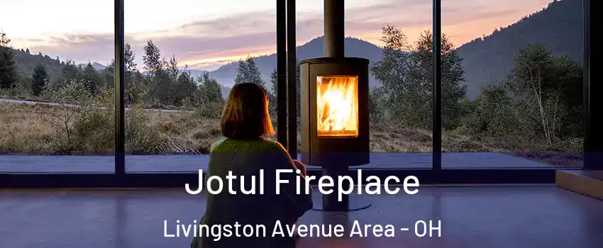 Jotul Fireplace Livingston Avenue Area - OH
