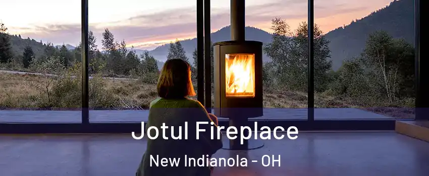 Jotul Fireplace New Indianola - OH